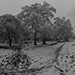 lagera-park-in-winter-sofia
