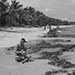 snorkeling-relax-tropical-beach-catalina-island-dominican-republic