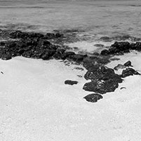white-sand-pine-beach-in-ile-aux-cerfs-mauritius